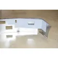 FREIGHTLINER FLD120 Bumper Assembly, Front thumbnail 5