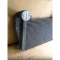 FREIGHTLINER FLD120 Charge Air Cooler (ATAAC) thumbnail 2