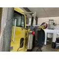 FREIGHTLINER FLD120 Door Mirror thumbnail 2