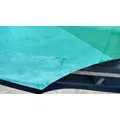 FREIGHTLINER FLD120 Hood thumbnail 22