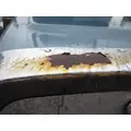 FREIGHTLINER FLD132 CLASSIC XL 1997-2010 HOOD thumbnail 5
