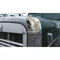 FREIGHTLINER FLD132 CLASSIC XL 1997-2010 HOOD thumbnail 5