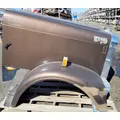 FREIGHTLINER FLD132 XL CLASSIC Hood thumbnail 4