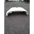 FREIGHTLINER M-2 106 HOOD thumbnail 3
