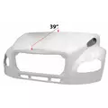 FREIGHTLINER M-2 106 Hood thumbnail 1