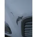 FREIGHTLINER M2 100 HOOD thumbnail 2