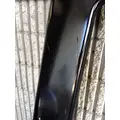 FREIGHTLINER M2 106 Bumper Filler Panel thumbnail 3