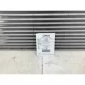 FREIGHTLINER M2 106 Charge Air Cooler (ATAAC) thumbnail 3