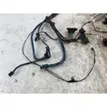 FREIGHTLINER M2 106 Dash Wiring Harness thumbnail 2