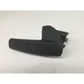 FREIGHTLINER M2-106 Door Handle thumbnail 1