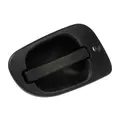 FREIGHTLINER M2-106 Door Handle thumbnail 5