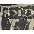 FREIGHTLINER M2 106 Electrical Parts, Misc. thumbnail 5