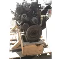 FREIGHTLINER M2-106 Engine Assembly thumbnail 10