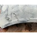 FREIGHTLINER M2 106 Hood thumbnail 5
