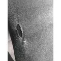 FREIGHTLINER M2 106 SEAT, FRONT thumbnail 4