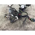 FREIGHTLINER M2 106 Wiring Harness thumbnail 6