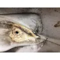 FREIGHTLINER M2 112 BUISNESS Fender thumbnail 5