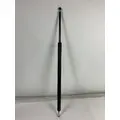 FREIGHTLINER M2 HOOD STRUT thumbnail 1