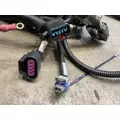 FREIGHTLINER MT 55 Chassis Wiring Harness thumbnail 5