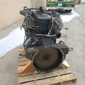 FREIGHTLINER MT45 Engine Assembly thumbnail 5
