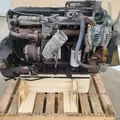 FREIGHTLINER MT45 Engine Assembly thumbnail 10