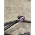 FREIGHTLINER MT55 Chassis Wiring Harness thumbnail 18