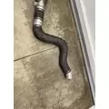 FREIGHTLINER MT55 Muffler thumbnail 2