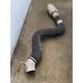 FREIGHTLINER MT55 Muffler thumbnail 11