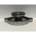 FREIGHTLINER MT55 Radiator thumbnail 3