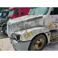 FREIGHTLINER ST120 Hood thumbnail 5