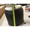 FREIGHTLINER  AIR SPRINGAIR BAG thumbnail 2