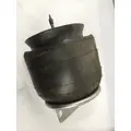 FREIGHTLINER  AIR SPRINGAIR BAG thumbnail 1