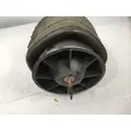 FREIGHTLINER  AIR SPRINGAIR BAG thumbnail 2