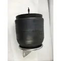 FREIGHTLINER  AIR SPRINGAIR BAG thumbnail 1