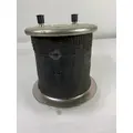 FREIGHTLINER  AIR SPRINGAIR BAG thumbnail 2