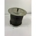 FREIGHTLINER  AIR SPRINGAIR BAG thumbnail 3