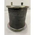 FREIGHTLINER  AIR SPRINGAIR BAG thumbnail 2