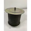 FREIGHTLINER  AIR SPRINGAIR BAG thumbnail 3