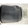 FREIGHTLINER  AIR SPRINGAIR BAG thumbnail 2