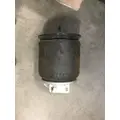 FREIGHTLINER  AIR SPRINGAIR BAG thumbnail 2