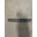 FREIGHTLINER  Bumper Filler Panel thumbnail 1