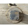 FREIGHTLINER  Fuel Tank thumbnail 4