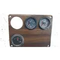 FREIGHTLINER  Instrument Cluster thumbnail 2