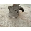 FREIGHTLINER  Power Steering Pump thumbnail 3