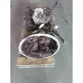 FULLER FO16E313AMHP  TRANSMISSION ASSEMBLY thumbnail 3