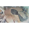 FULLER FO5406BDM3 TRANSMISSION ASSEMBLY thumbnail 3
