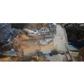 FULLER FRO14210C Transmission Assembly thumbnail 7