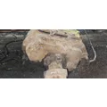 FULLER FROF14210C Transmission Assembly thumbnail 5