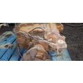 FULLER RTO14909ALL Transmission Assembly thumbnail 4