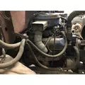 Ford 361 Engine Assembly thumbnail 5